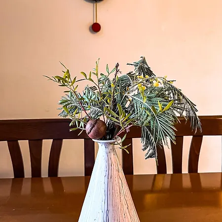 Acacia - Almendro * Florenz